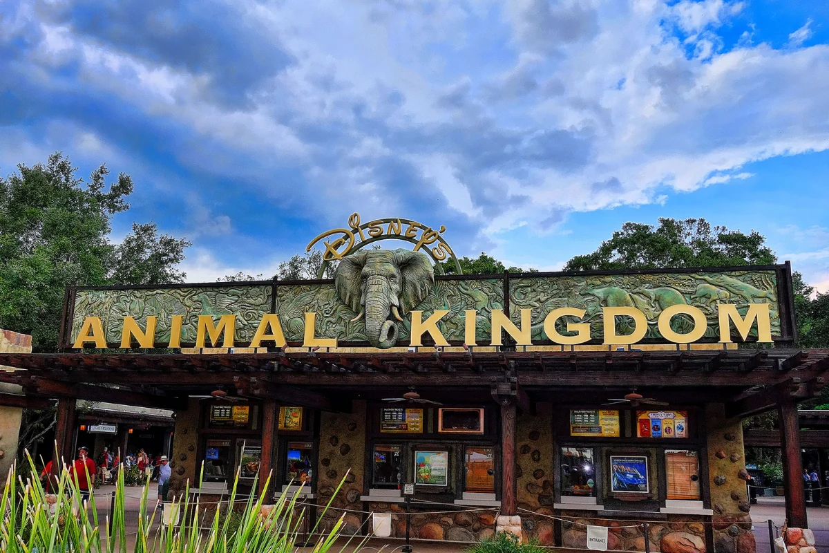 Disney’s Animal Kingdom